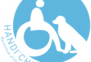 Association Handi'Chiens