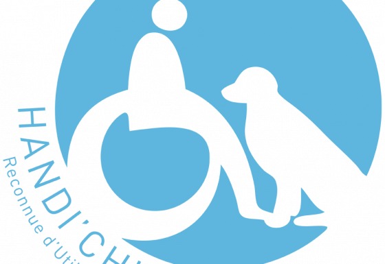 Association Handi'Chiens