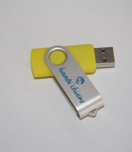 Clé USB 8 Go