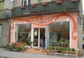 Ripa fleurs